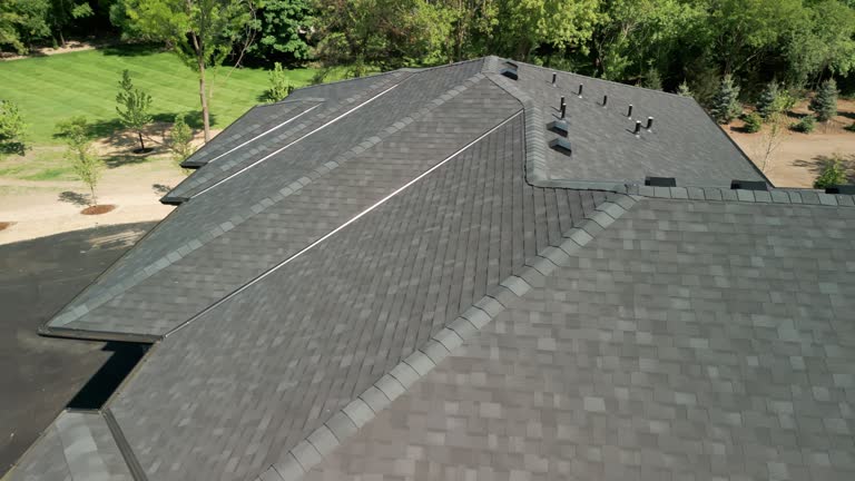 Best Roof Maintenance and Cleaning  in Arbury Hls, IL